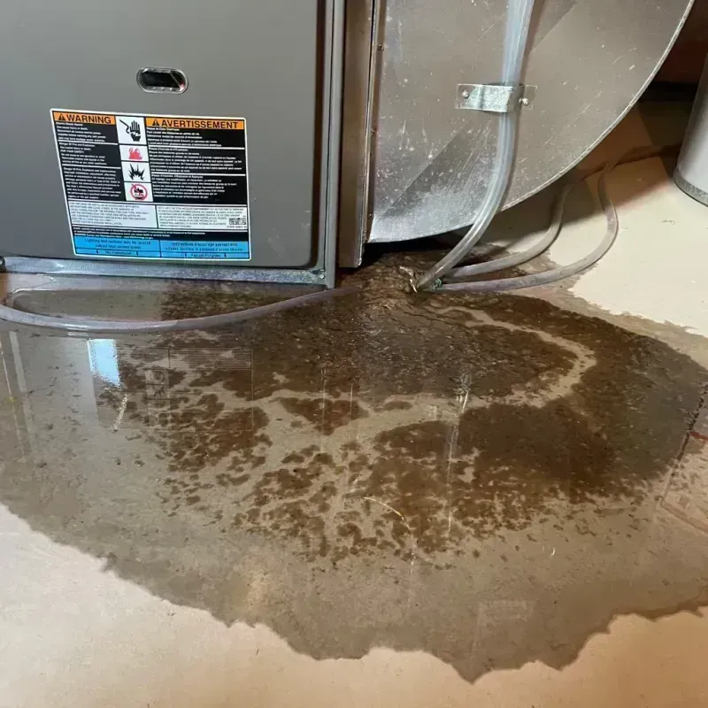 Appliance Leak Cleanup in Ballwin, MO